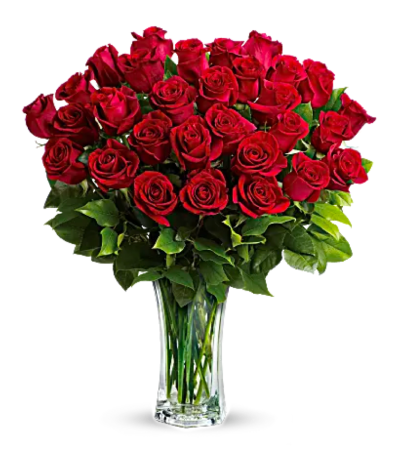 Love And Devotion Long Stem Roses Love And Devotion Long Stem Roses