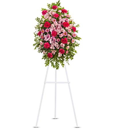 Pink Tribute Spray Pink Tribute Spray