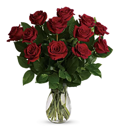Classic Rose Special Classic Rose Special