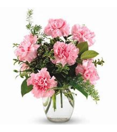 6 Carnations in a Vase 6 Carnations in a Vase