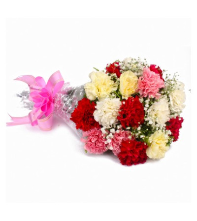 SPECIAL!! 30% OFF Wrapped Carnations SPECIAL!! 30% OFF Wrapped Carnations