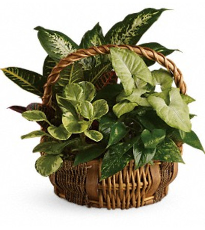 Emerald Garden Basket Emerald Garden Basket