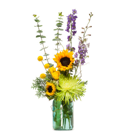 Sunflower N Blue Sunflower N Blue