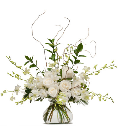 White Elegance White Elegance