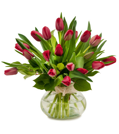 Just Red Tulips Just Red Tulips