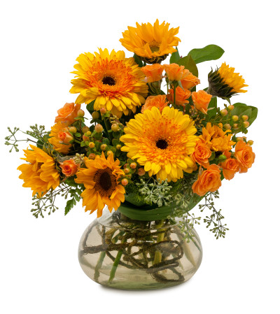 Sunflower Delight Sunflower Delight