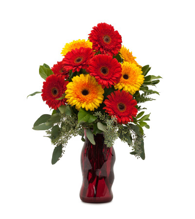 Mighty Gerberas Mighty Gerberas
