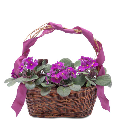 Very Violet Basket Very Violet Basket