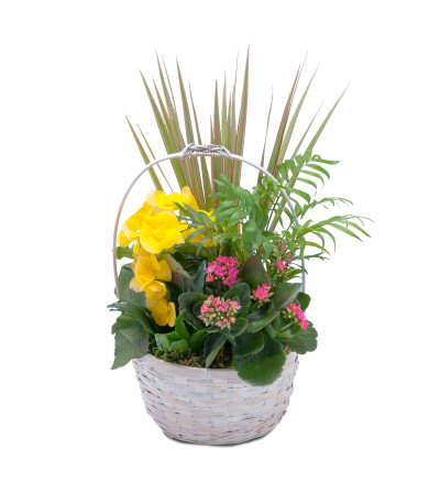 Bloomin' Sunshine Days Basket Bloomin' Sunshine Days Basket