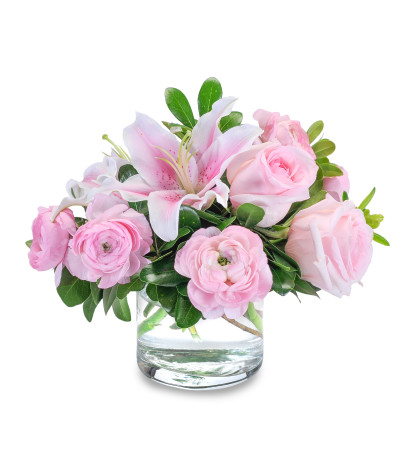 Sweet and Delicate Sweet and Delicate