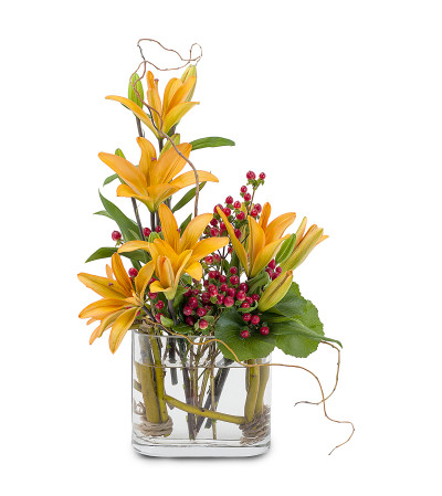 Floating Blooms Floating Blooms