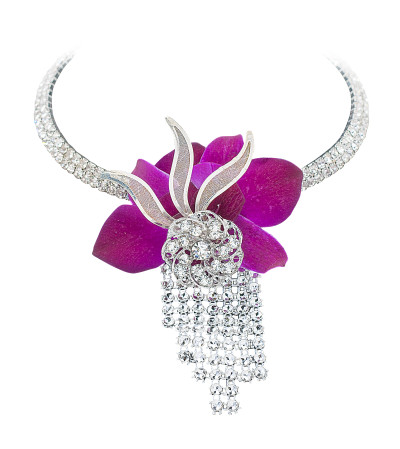 Orchid Gem Orchid Gem