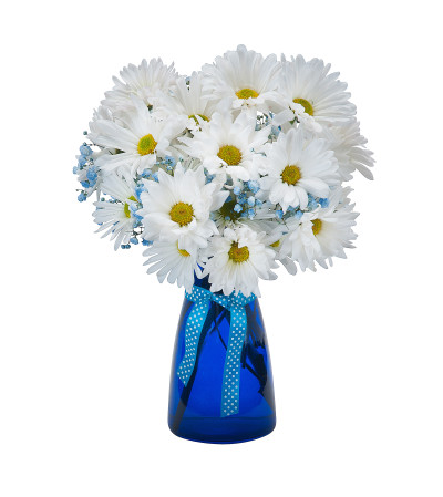 Daisy May Daisy May