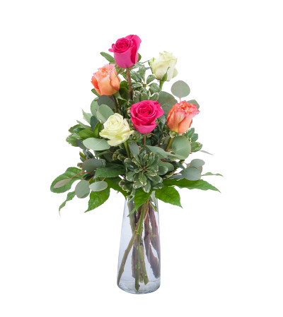 Six Roses Six Roses