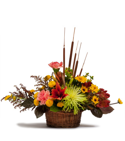 Harvest Basket Harvest Basket