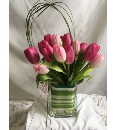 Spring Tulips Spring Tulips