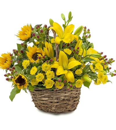 Sunset Basket Sunset Basket