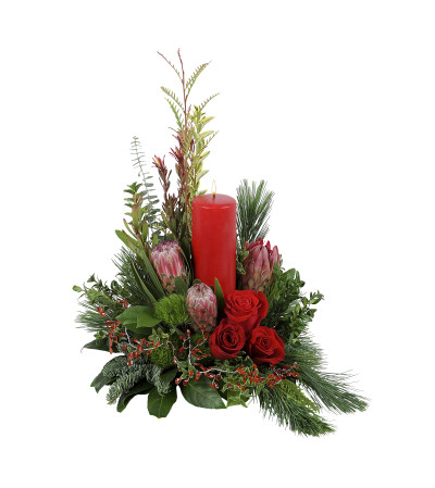 Protea Perfection Red Protea Perfection Red