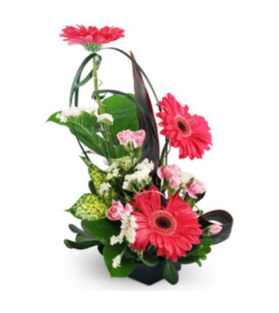 To The Top Arrangement To The Top Arrangement