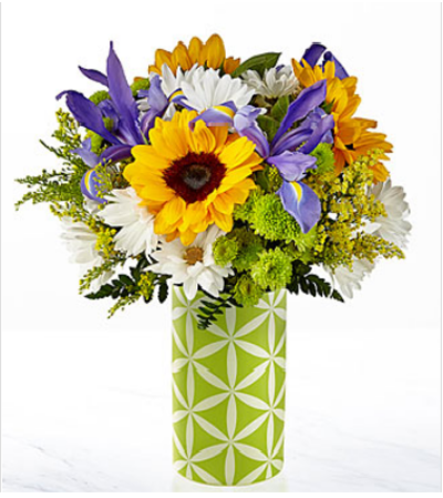 Sunflower Sweetness BQ Sunflower Sweetness BQ