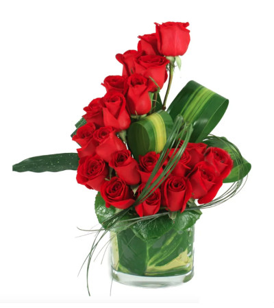 Modern roses Modern roses