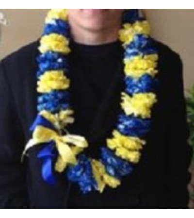 Double yellow and sprayed blue carnation lei Double yellow and sprayed blue carnation lei