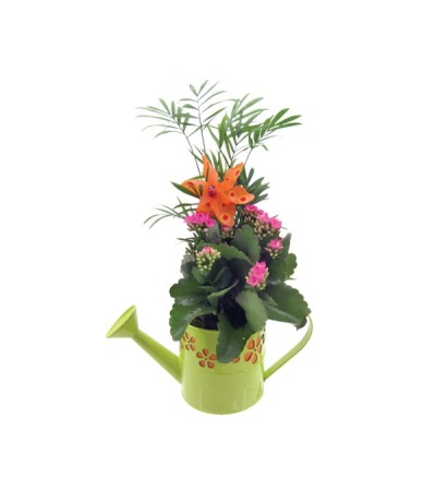 Watering Can Planter Watering Can Planter