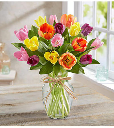 Timeless Tulips Bqt Timeless Tulips Bqt
