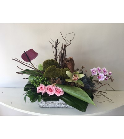 Tropical Modern design Tropical Modern design