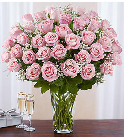 Pink Roses Four Dozen Pink Roses Four Dozen
