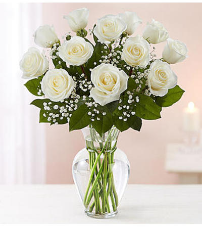 White Roses One Dozen White Roses One Dozen