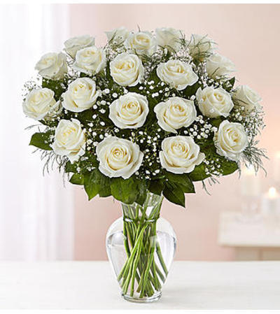 White Roses Two Dozen White Roses Two Dozen