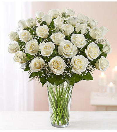 White Roses Three Dozen White Roses Three Dozen