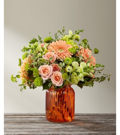 Peachy Keen By Better Homes & Gardens Peachy Keen By Better Homes & Gardens