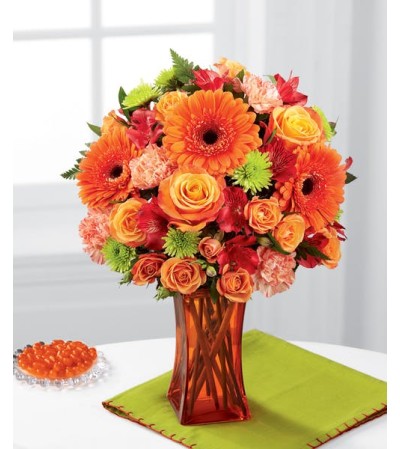Orange Escapes Orange Escapes