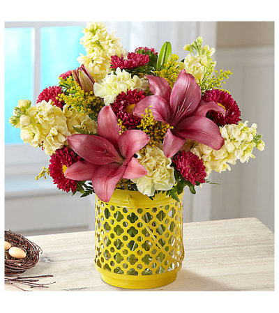 Arboretum By Better Homes & Gardens Arboretum By Better Homes & Gardens