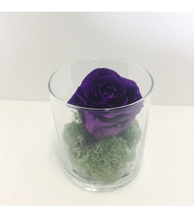 Perfectly Preserved Rose - Purple Perfectly Preserved Rose - Purple