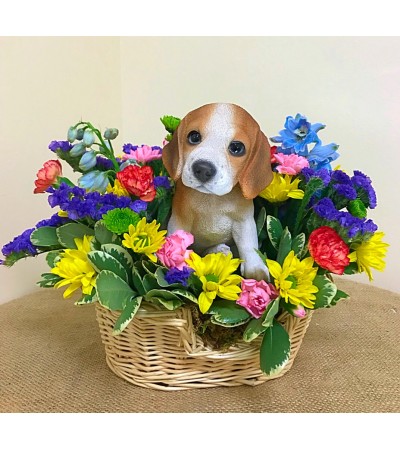 Beagle in a Basket Beagle in a Basket