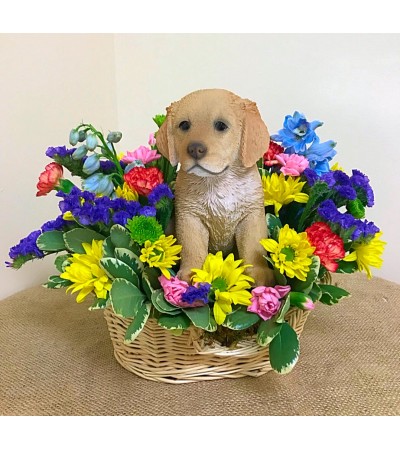 Glorious Golden in a Basket Glorious Golden in a Basket