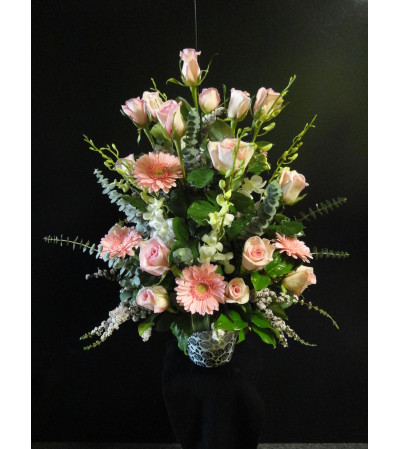 Marivels Magnificent Pink Marivels Magnificent Pink