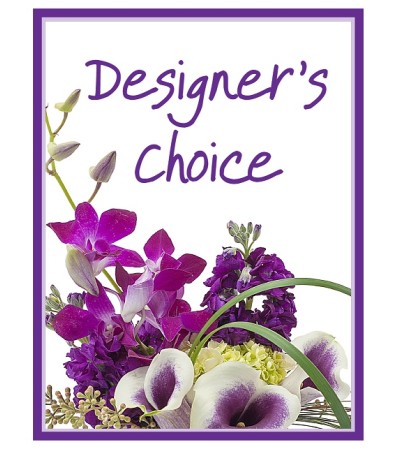 Our Designers Choice Our Designers Choice