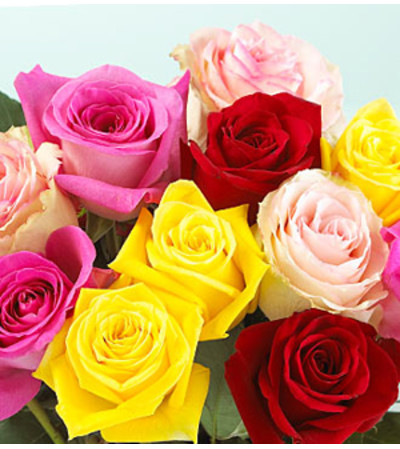 Mixed Roses - 2018 Summer Special Mixed Roses - 2018 Summer Special