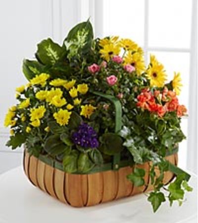 Gentile Blossoms Basket Gentile Blossoms Basket
