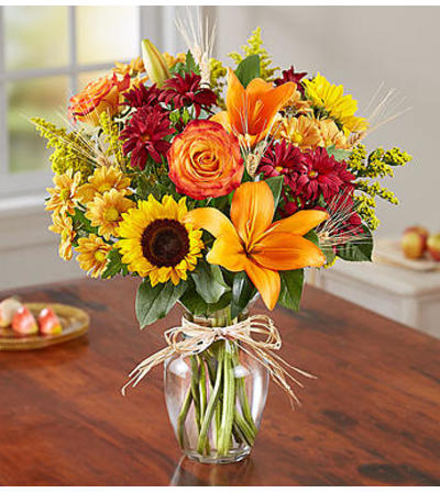 1800 Flowers Fields of Europe™ for Fall 1800 Flowers Fields of Europe™ for Fall