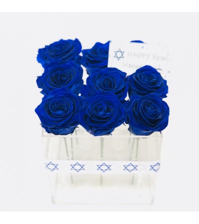 Acrylic Box square for 9 roses Acrylic Box square for 9 roses
