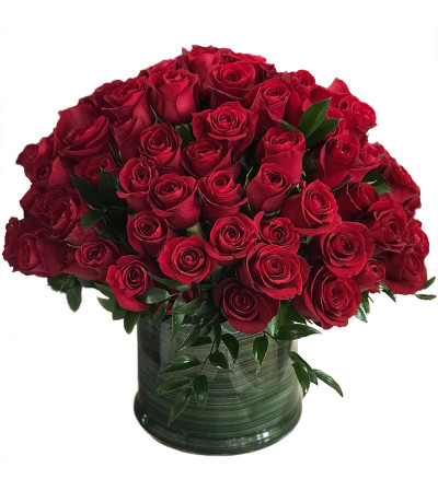 100 Long Stem Red Roses 100 Long Stem Red Roses