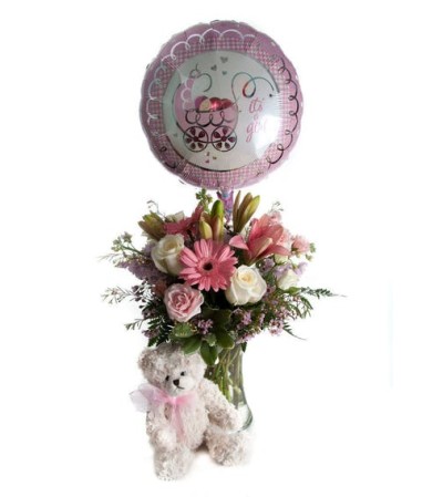 Baby Girl Surprise! Baby Girl Surprise!