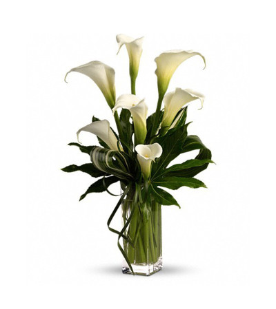 Classic Calla Vase Classic Calla Vase