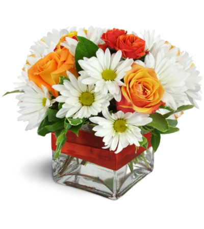 Vivid Glow™ by Lovingly Vivid Glow™ by Lovingly