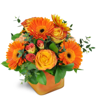 Tangerine Dream™ by Lovingly Tangerine Dream™ by Lovingly
